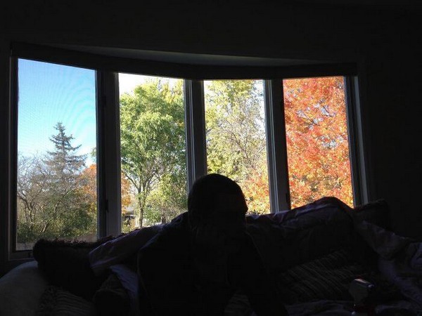Öyle görünüyor ki burada yalnızca pencerenin önüne oturarak dört mevsimin hepsini gözlemleyebilirsiniz!