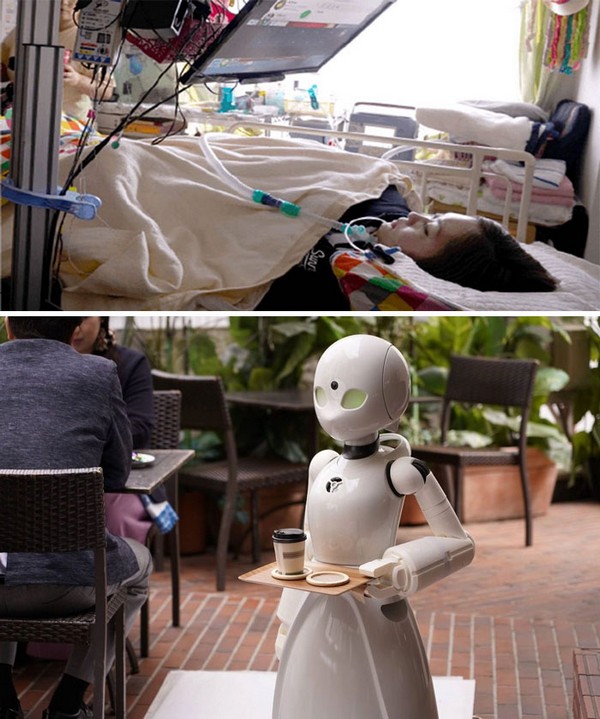 Japonya’daki bu inanılmaz kafe felçli hastaların robot garsonları kontrol ederek kendilerini gelir sağlamalarına olanak veriyor