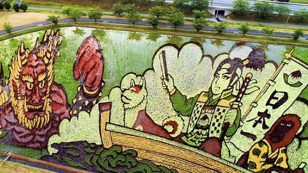 İnanılır gibi değil ancak burada gördüğünüz şey bir pirinç tarlası. Japon çiftçiler bu sanat eserlerini tarlalarına değişik türlerdeki pirinçler