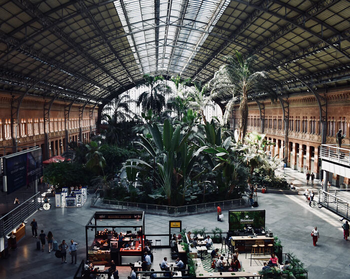 Madrid Atocha Tren İstasyonu’ndaki güzel botanik bahçeden bir fotoğraf