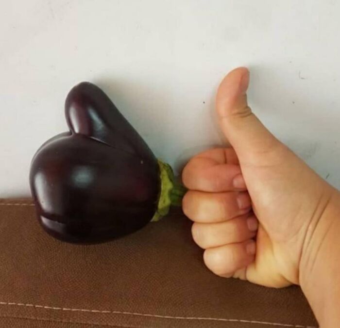 Bu patlıcan size herşeyin yolunda olduğunu söylüyor!