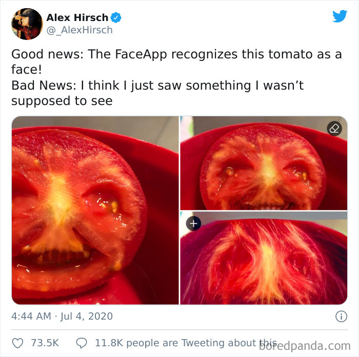 Bu domates bir domateste olabilecek en korkunç surata sahip!