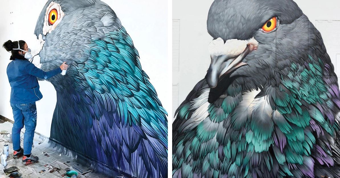 Güvercinlerin gerçek görünüşünü yansıtmayı başaran sanatçının eserlerini topladığı bir kitap da mevcut. Daha önce sergiler açan sanatç