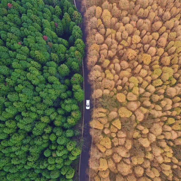 İlginç Drone ile çekilen doğa fotoğrafı