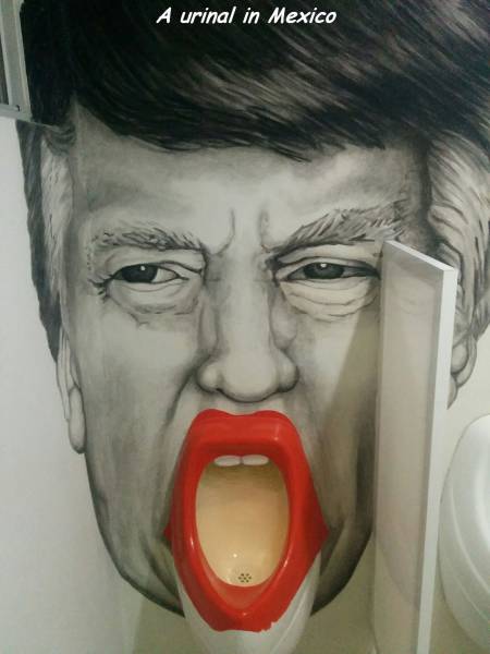 Trump WC