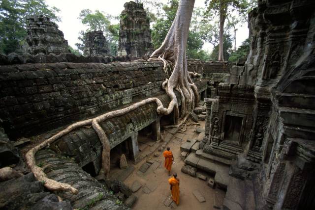 Kamboçya'da bulunan kutsal ağaçlar