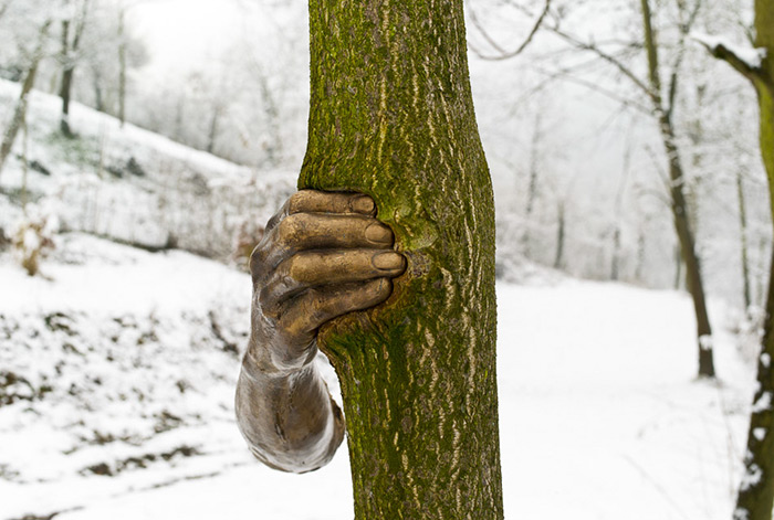 Kim bilir bundan 50 yıl sonra, bu ağaçla üzerindeki metal elin ilişkisi ne durumda olacak?