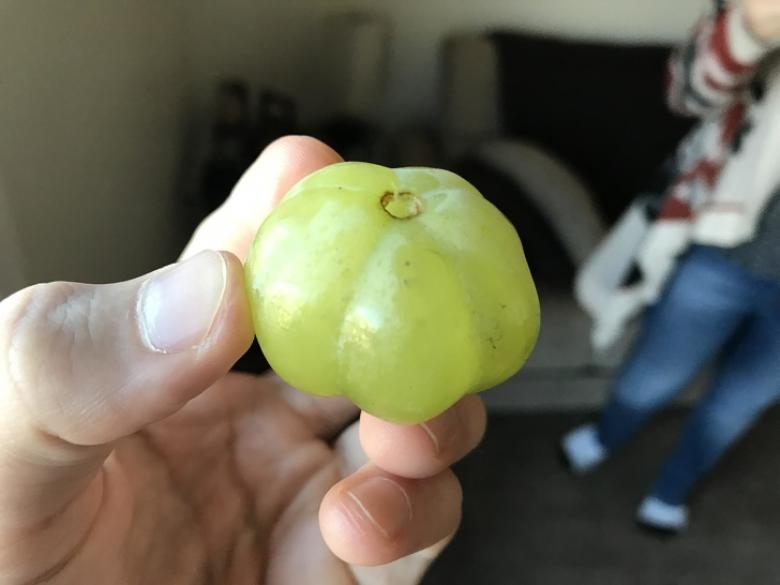5. Balkabağı görünümlü bir üzüm..