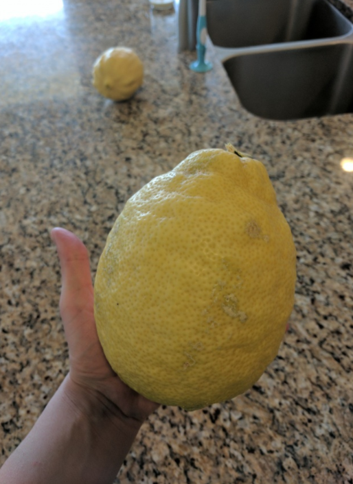 Elinizden daha büyük bir limon?