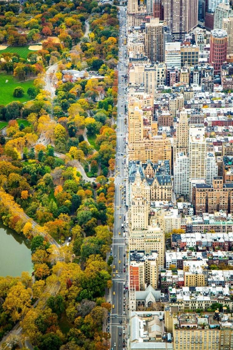 10. Central Park ve New York