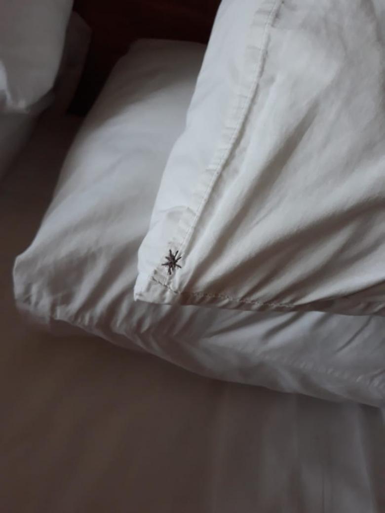 Yastığınızı bir örümcekle paylaşıyor hissi yaşatıyor bu yastık kılıfı