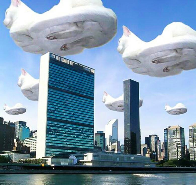 Şehrin üzerini kedi bulutları sarmış
