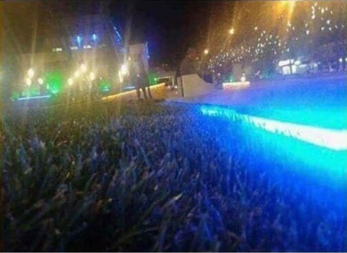 11. Işıklandırma yapılmış yeşillik mi, olabildiğince kalabalık bir konser mi?