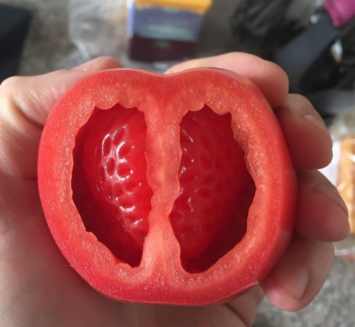 Bu domatesin iç bölümü sanki bir çilek gibi!