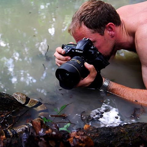 Bu fotoğrafçı zehirli bir su kobrasının fotoğrafını çekmek için hayatını tehlikeye atıyor