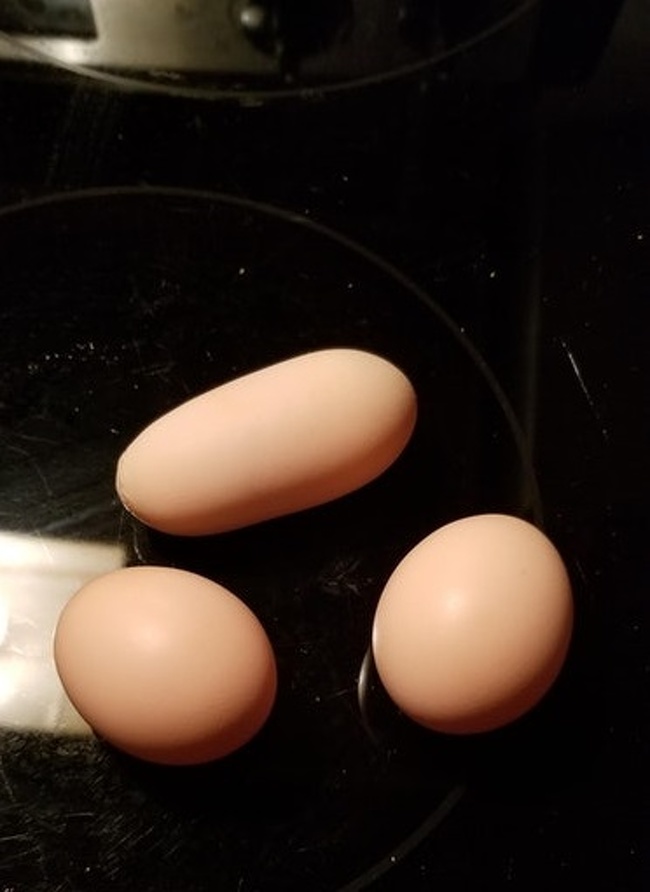 Sıradanlıktan kurutlmuş bir yumurta