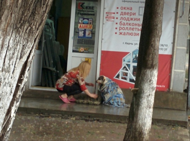 4. Kırım'da bu kadın önce sarıp sarmaladığı bu köpeği, sonra daha fazla üşümesin diye dükkanının içine aldı.