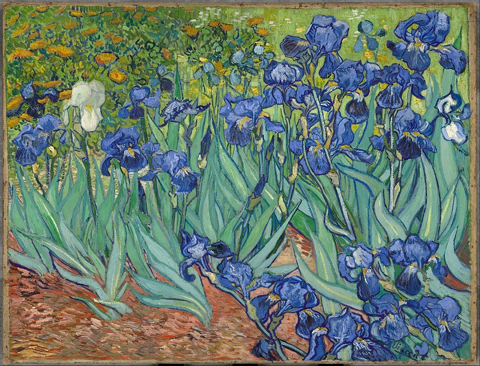 Irises 97.5 Milyon Dolar Sanatçı: Vincent van Gogh