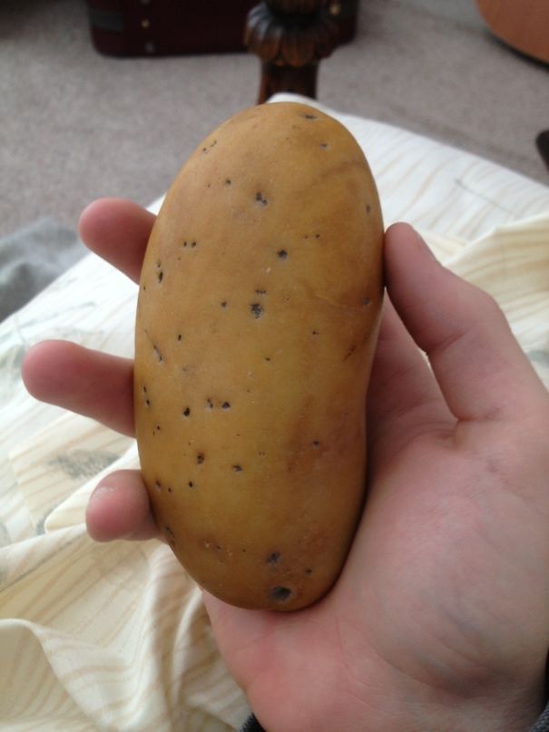 Patatese benzeyen taş